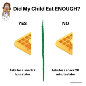 “Can I have a SNACK?” &#8211; Has your little one eaten enough?